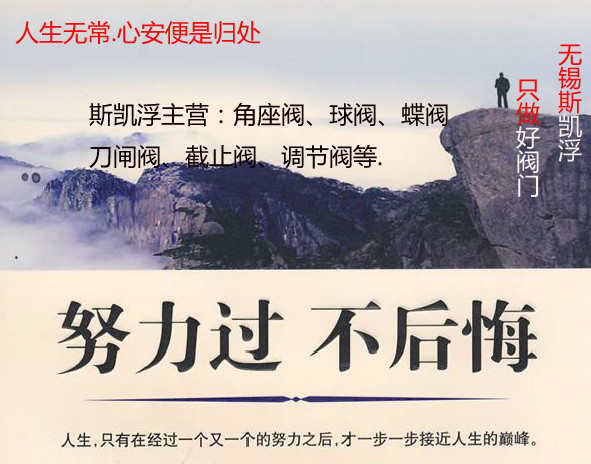 爱游戏平台阀门