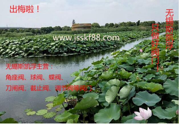 荷花.无锡爱游戏平台阀门