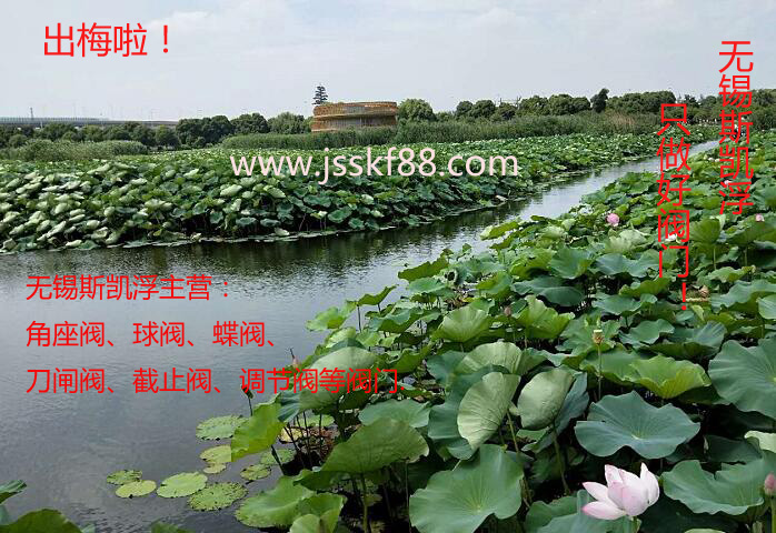 出梅啦 爱游戏平台角座阀