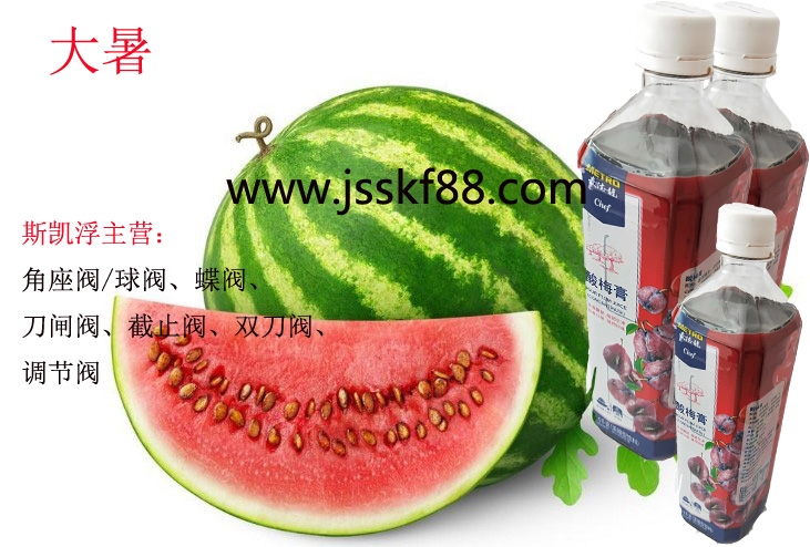 爱游戏平台角座阀